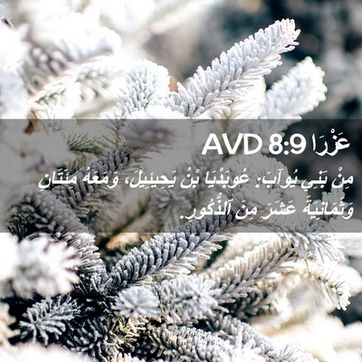Picture 02 - عَزْرَا 8:9 AVD - مِنْ بَنِي يُوآبَ: - Bible Verse Picture