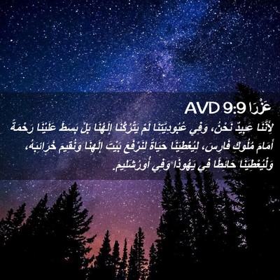 Picture 02 - عَزْرَا 9:9 AVD - لِأَنَّنَا عَبِيدٌ - Bible Verse Picture