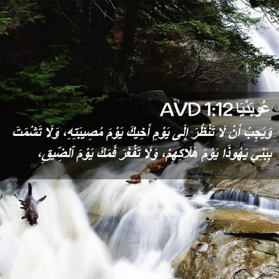 Picture 02 - عُوبَدْيَا 1:12 AVD - وَيَجِبُ أَنْ لَا تَنْظُرَ - Bible Verse Picture