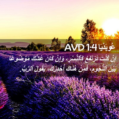 Picture 02 - عُوبَدْيَا 1:4 AVD - إِنْ كُنْتَ تَرْتَفِعُ - Bible Verse Picture