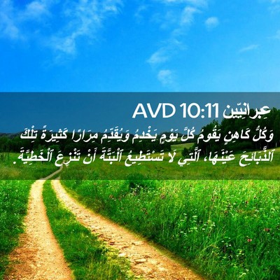 Picture 02 - عِبرانِيّين 10:11 AVD - وَكُلُّ كَاهِنٍ يَقُومُ - Bible Verse Picture