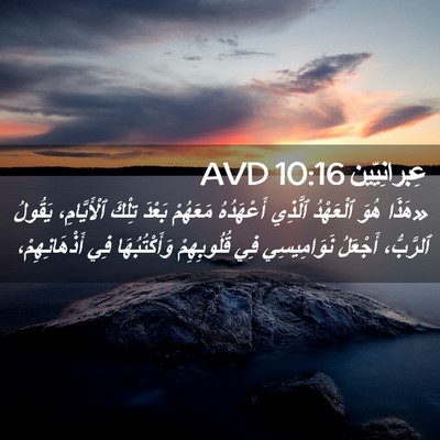 Picture 02 - عِبرانِيّين 10:16 AVD - «هَذَا هُوَ ٱلْعَهْدُ - Bible Verse Picture