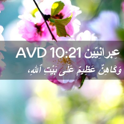 Picture 02 - عِبرانِيّين 10:21 AVD - وَكَاهِنٌ عَظِيمٌ عَلَى - Bible Verse Picture