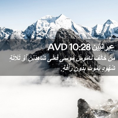 Picture 02 - عِبرانِيّين 10:28 AVD - مَنْ خَالَفَ نَامُوسَ - Bible Verse Picture