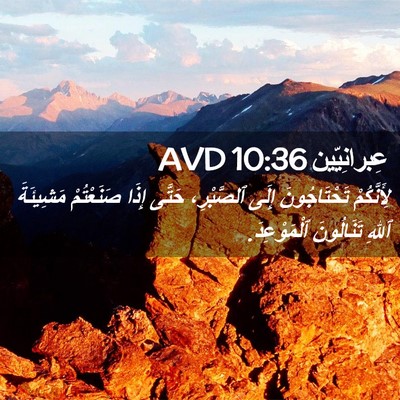 Picture 02 - عِبرانِيّين 10:36 AVD - لِأَنَّكُمْ تَحْتَاجُونَ - Bible Verse Picture