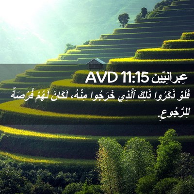 Picture 02 - عِبرانِيّين 11:15 AVD - فَلَوْ ذَكَرُوا ذَلِكَ - Bible Verse Picture