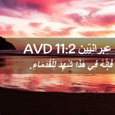 Picture 02 - عِبرانِيّين 11:2 AVD - فَإِنَّهُ فِي هَذَا شُهِدَ - Bible Verse Picture