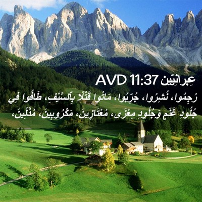 Picture 02 - عِبرانِيّين 11:37 AVD - رُجِمُوا، نُشِرُوا، - Bible Verse Picture