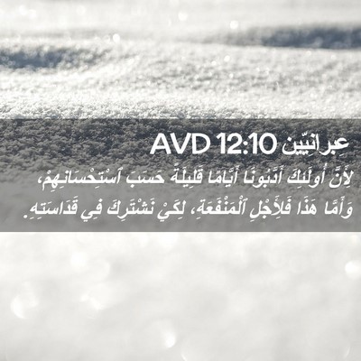 Picture 02 - عِبرانِيّين 12:10 AVD - لِأَنَّ أُولَئِكَ - Bible Verse Picture