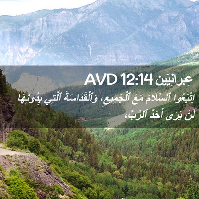 Picture 02 - عِبرانِيّين 12:14 AVD - اِتْبَعُوا ٱلسَّلَامَ - Bible Verse Picture