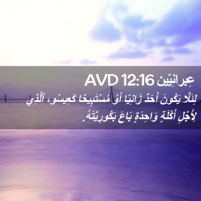 Picture 02 - عِبرانِيّين 12:16 AVD - لِئَلَّا يَكُونَ أَحَدٌ - Bible Verse Picture