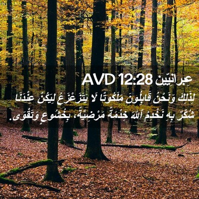 Picture 02 - عِبرانِيّين 12:28 AVD - لِذَلِكَ وَنَحْنُ - Bible Verse Picture