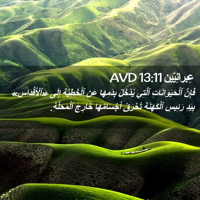 Picture 02 - عِبرانِيّين 13:11 AVD - فَإِنَّ ٱلْحَيَوَانَاتِ - Bible Verse Picture