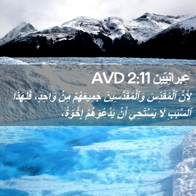 Picture 02 - عِبرانِيّين 2:11 AVD - لِأَنَّ ٱلْمُقَدِّسَ - Bible Verse Picture
