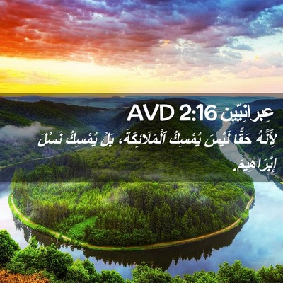 Picture 02 - عِبرانِيّين 2:16 AVD - لِأَنَّهُ حَقًّا لَيْسَ - Bible Verse Picture