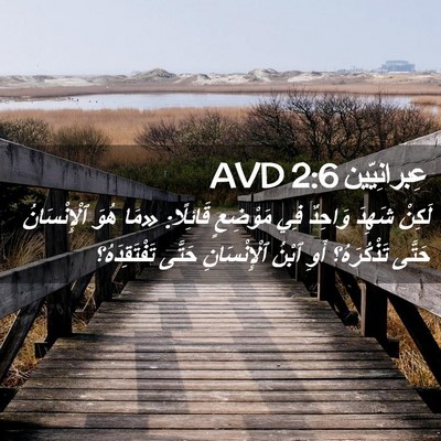 Picture 02 - عِبرانِيّين 2:6 AVD - لَكِنْ شَهِدَ وَاحِدٌ فِي - Bible Verse Picture