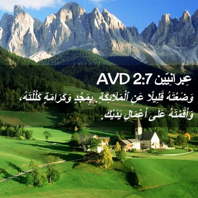 Picture 02 - عِبرانِيّين 2:7 AVD - وَضَعْتَهُ قَلِيلًا عَنِ - Bible Verse Picture