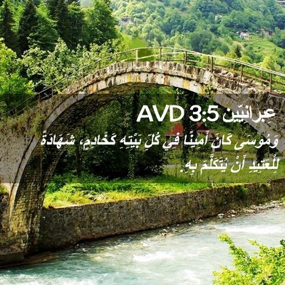 Picture 02 - عِبرانِيّين 3:5 AVD - وَمُوسَى كَانَ أَمِينًا - Bible Verse Picture