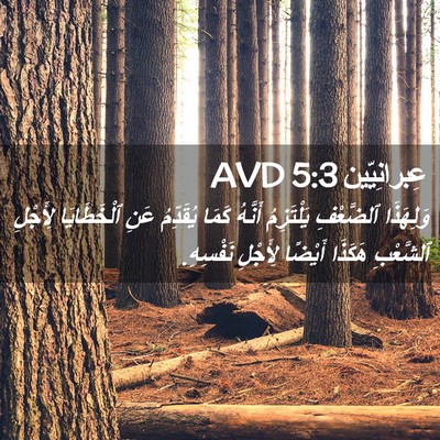 Picture 02 - عِبرانِيّين 5:3 AVD - وَلِهَذَا ٱلضَّعْفِ - Bible Verse Picture
