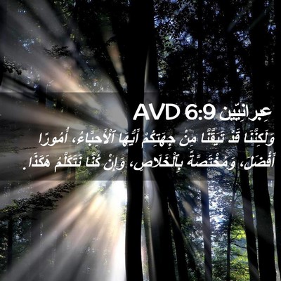 Picture 02 - عِبرانِيّين 6:9 AVD - وَلَكِنَّنَا قَدْ - Bible Verse Picture
