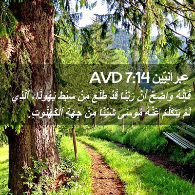 Picture 02 - عِبرانِيّين 7:14 AVD - فَإِنَّهُ وَاضِحٌ أَنَّ - Bible Verse Picture