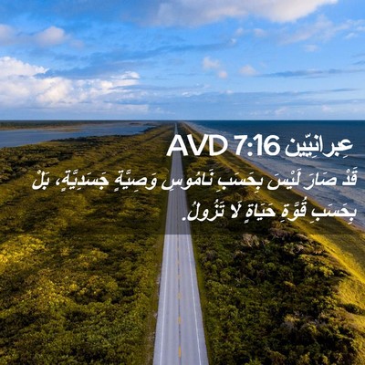 Picture 02 - عِبرانِيّين 7:16 AVD - قَدْ صَارَ لَيْسَ بِحَسَبِ - Bible Verse Picture