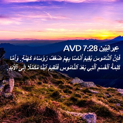 Picture 02 - عِبرانِيّين 7:28 AVD - فَإِنَّ ٱلنَّامُوسَ - Bible Verse Picture