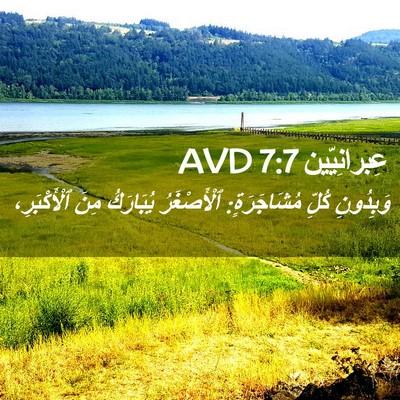Picture 02 - عِبرانِيّين 7:7 AVD - وَبِدُونِ كُلِّ - Bible Verse Picture