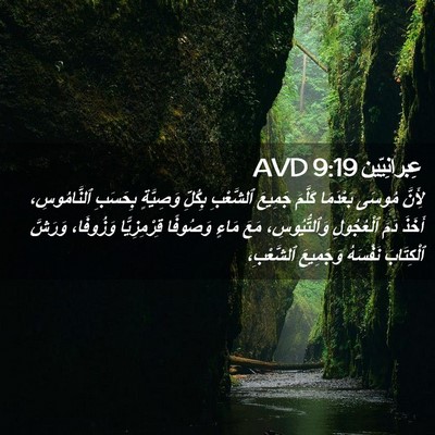 Picture 02 - عِبرانِيّين 9:19 AVD - لِأَنَّ مُوسَى بَعْدَمَا - Bible Verse Picture