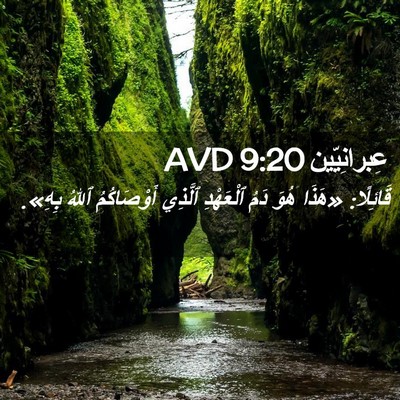 Picture 02 - عِبرانِيّين 9:20 AVD - قَائِلًا: «هَذَا هُوَ دَمُ - Bible Verse Picture