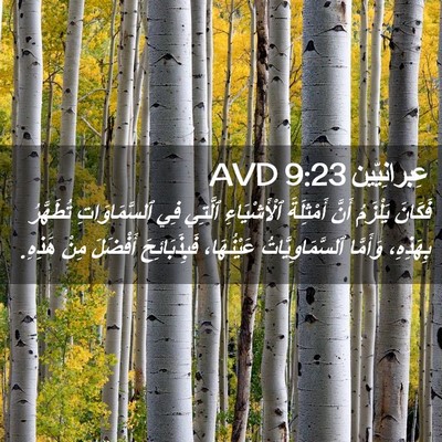 Picture 02 - عِبرانِيّين 9:23 AVD - فَكَانَ يَلْزَمُ أَنَّ - Bible Verse Picture