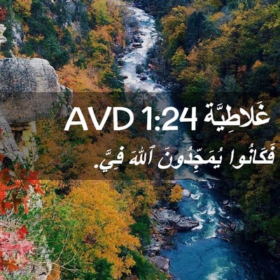 Picture 02 - غَلاطِيَّة 1:24 AVD - فَكَانُوا يُمَجِّدُونَ - Bible Verse Picture