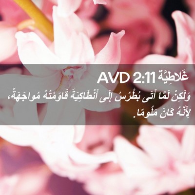 Picture 02 - غَلاطِيَّة 2:11 AVD - وَلَكِنْ لَمَّا أَتَى - Bible Verse Picture
