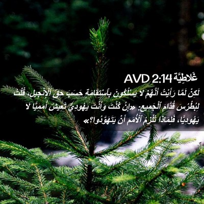 Picture 02 - غَلاطِيَّة 2:14 AVD - لَكِنْ لَمَّا رَأَيْتُ - Bible Verse Picture