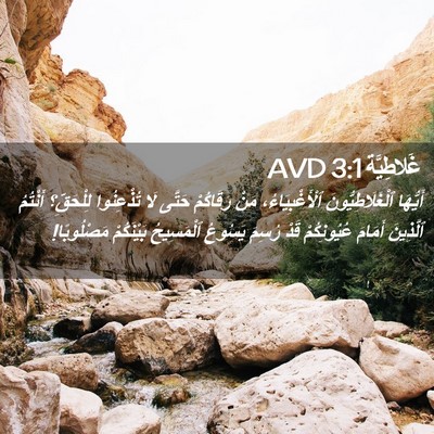 Picture 02 - غَلاطِيَّة 3:1 AVD - أَيُّهَا ٱلْغَلَاطِيُّونَ - Bible Verse Picture