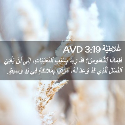 Picture 02 - غَلاطِيَّة 3:19 AVD - فَلِمَاذَا ٱلنَّامُوسُ؟ - Bible Verse Picture