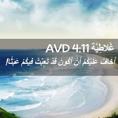 Picture 02 - غَلاطِيَّة 4:11 AVD - أَخَافُ عَلَيْكُمْ أَنْ - Bible Verse Picture
