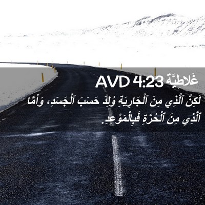 Picture 02 - غَلاطِيَّة 4:23 AVD - لَكِنَّ ٱلَّذِي مِنَ - Bible Verse Picture