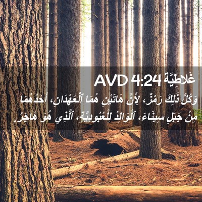 Picture 02 - غَلاطِيَّة 4:24 AVD - وَكُلُّ ذَلِكَ رَمْزٌ، - Bible Verse Picture
