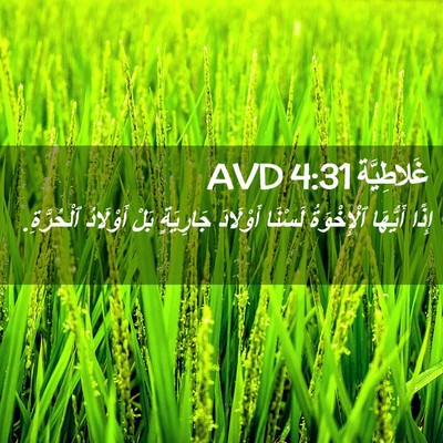 Picture 02 - غَلاطِيَّة 4:31 AVD - إِذًا أَيُّهَا - Bible Verse Picture