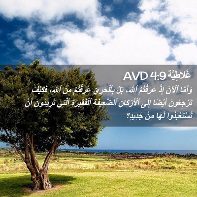 Picture 02 - غَلاطِيَّة 4:9 AVD - وَأَمَّا ٱلْآنَ إِذْ - Bible Verse Picture
