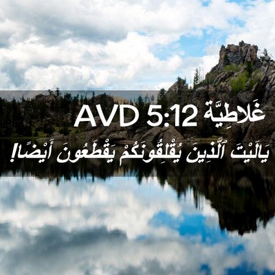 Picture 02 - غَلاطِيَّة 5:12 AVD - يَالَيْتَ ٱلَّذِينَ - Bible Verse Picture
