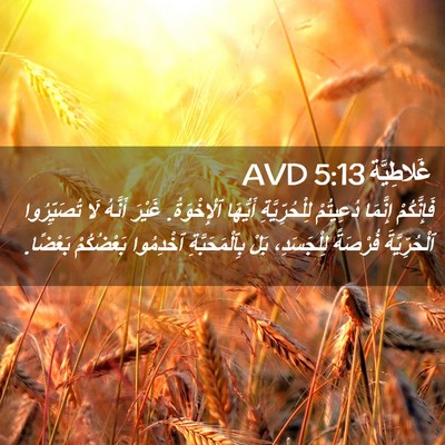 Picture 02 - غَلاطِيَّة 5:13 AVD - فَإِنَّكُمْ إِنَّمَا - Bible Verse Picture