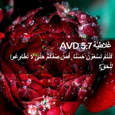 Picture 02 - غَلاطِيَّة 5:7 AVD - كُنْتُمْ تَسْعَوْنَ - Bible Verse Picture