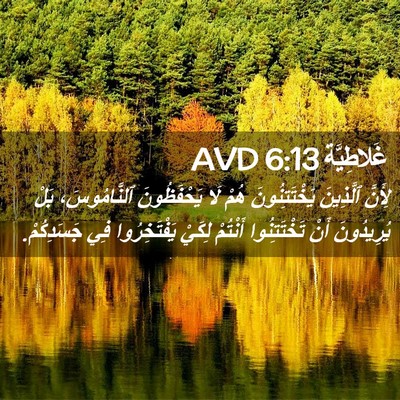 Picture 02 - غَلاطِيَّة 6:13 AVD - لِأَنَّ ٱلَّذِينَ - Bible Verse Picture
