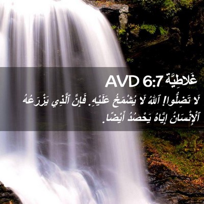 Picture 02 - غَلاطِيَّة 6:7 AVD - لَا تَضِلُّوا! ٱللهُ لَا - Bible Verse Picture