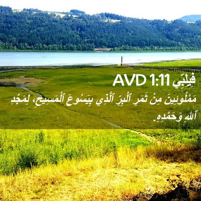 Picture 02 - فِيلِبِّي 1:11 AVD - مَمْلُوئِينَ مِنْ ثَمَرِ - Bible Verse Picture