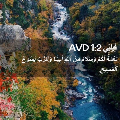Picture 02 - فِيلِبِّي 1:2 AVD - نِعْمَةٌ لَكُمْ وَسَلَامٌ - Bible Verse Picture