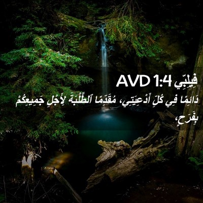 Picture 02 - فِيلِبِّي 1:4 AVD - دَائِمًا فِي كُلِّ - Bible Verse Picture