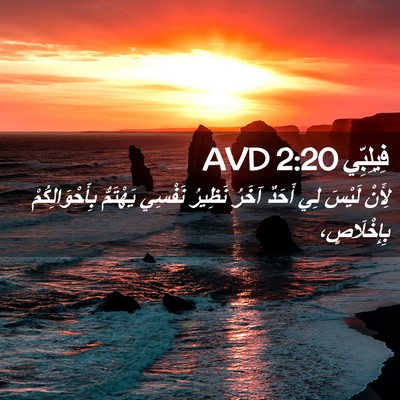 Picture 02 - فِيلِبِّي 2:20 AVD - لِأَنْ لَيْسَ لِي أَحَدٌ - Bible Verse Picture